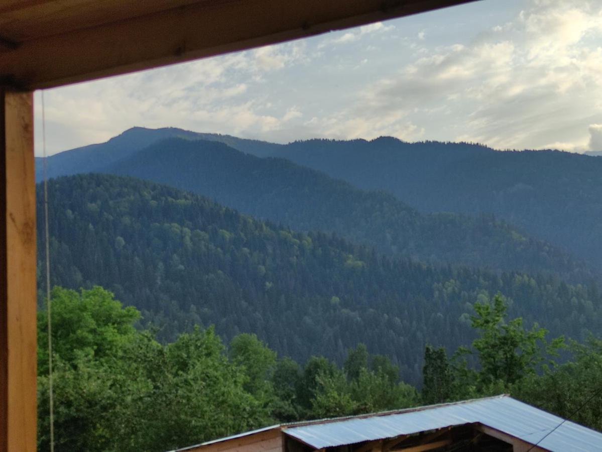 Ecohouse Svaneti Mestia Luaran gambar