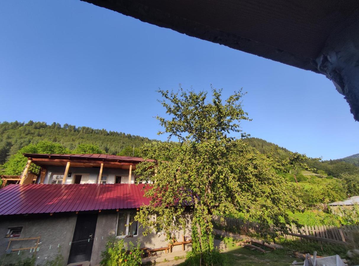 Ecohouse Svaneti Mestia Luaran gambar