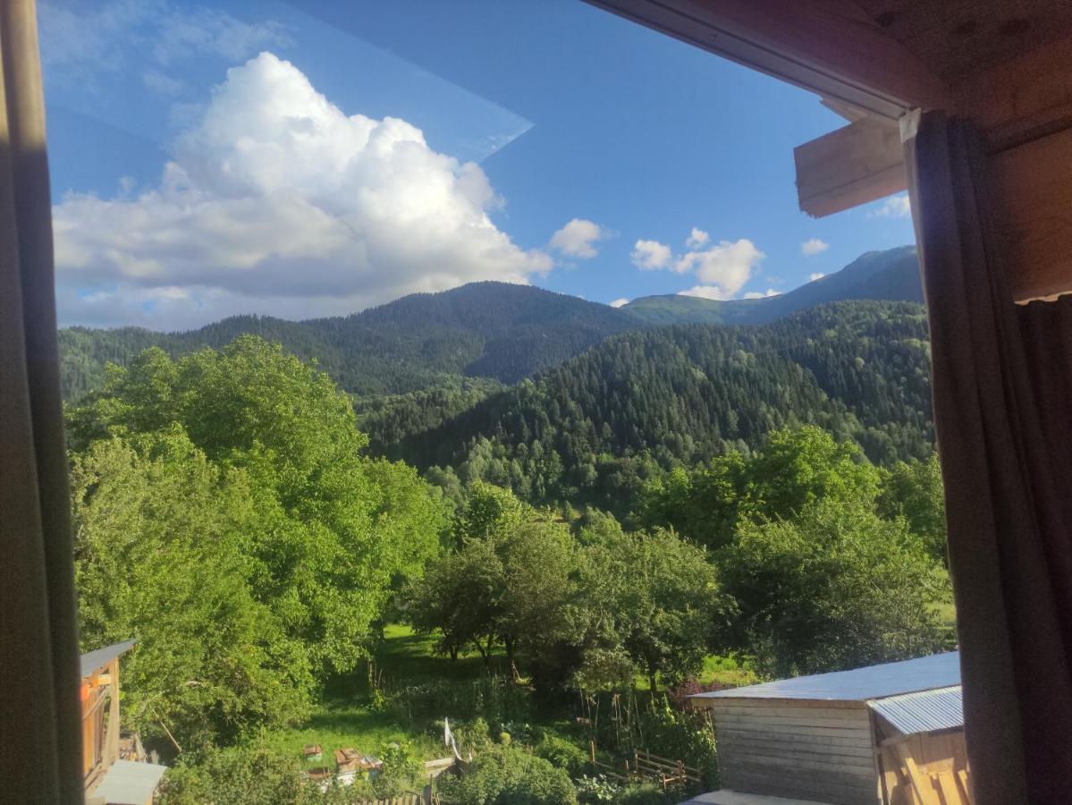 Ecohouse Svaneti Mestia Luaran gambar
