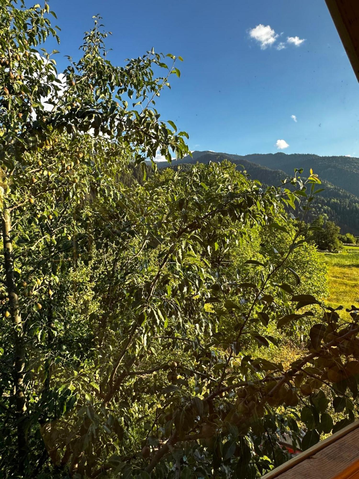 Ecohouse Svaneti Mestia Luaran gambar