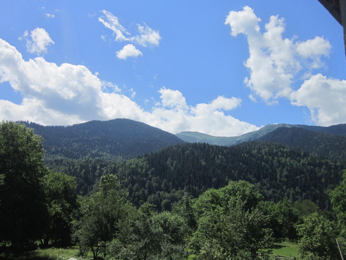 Ecohouse Svaneti Mestia Luaran gambar