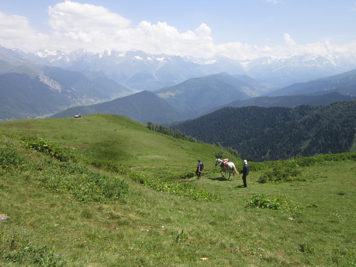 Ecohouse Svaneti Mestia Luaran gambar