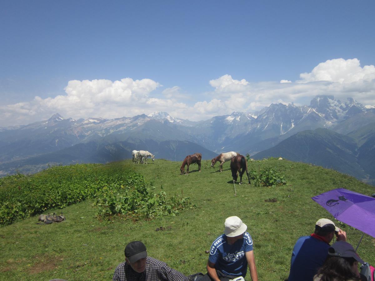 Ecohouse Svaneti Mestia Luaran gambar