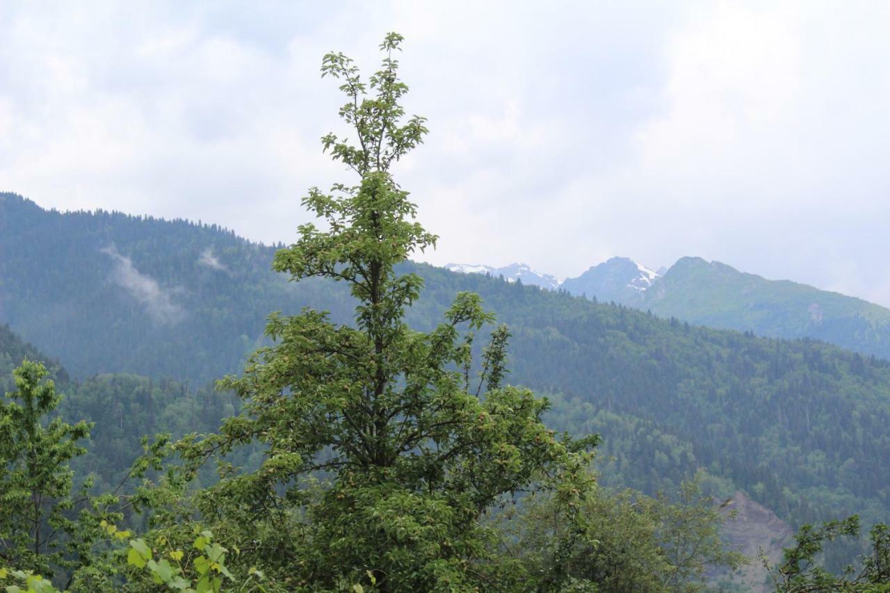 Ecohouse Svaneti Mestia Luaran gambar