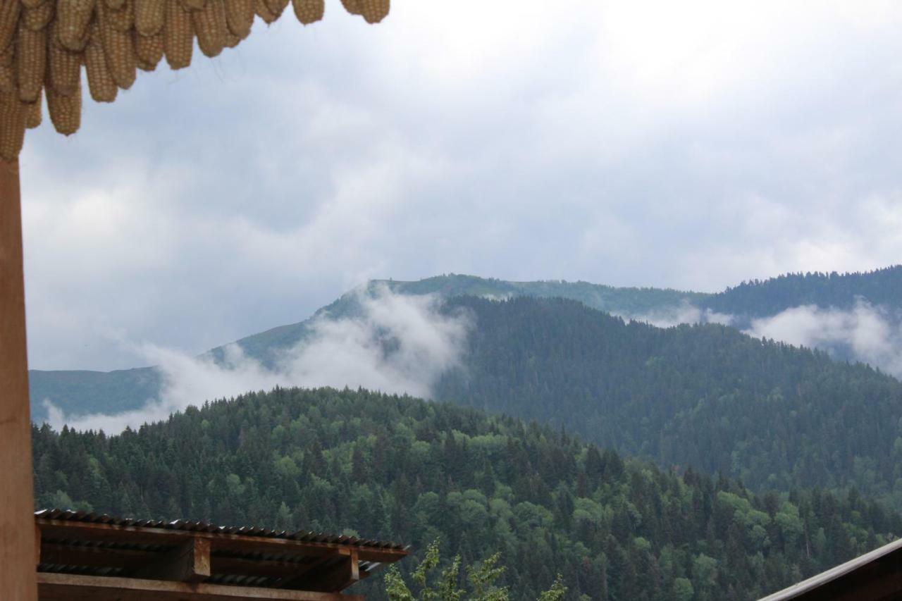 Ecohouse Svaneti Mestia Luaran gambar